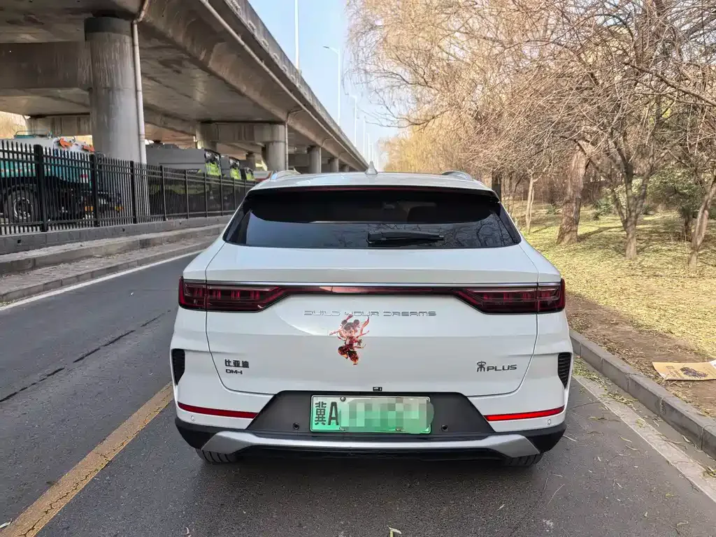 BYD PLUS New Energy — фото 4