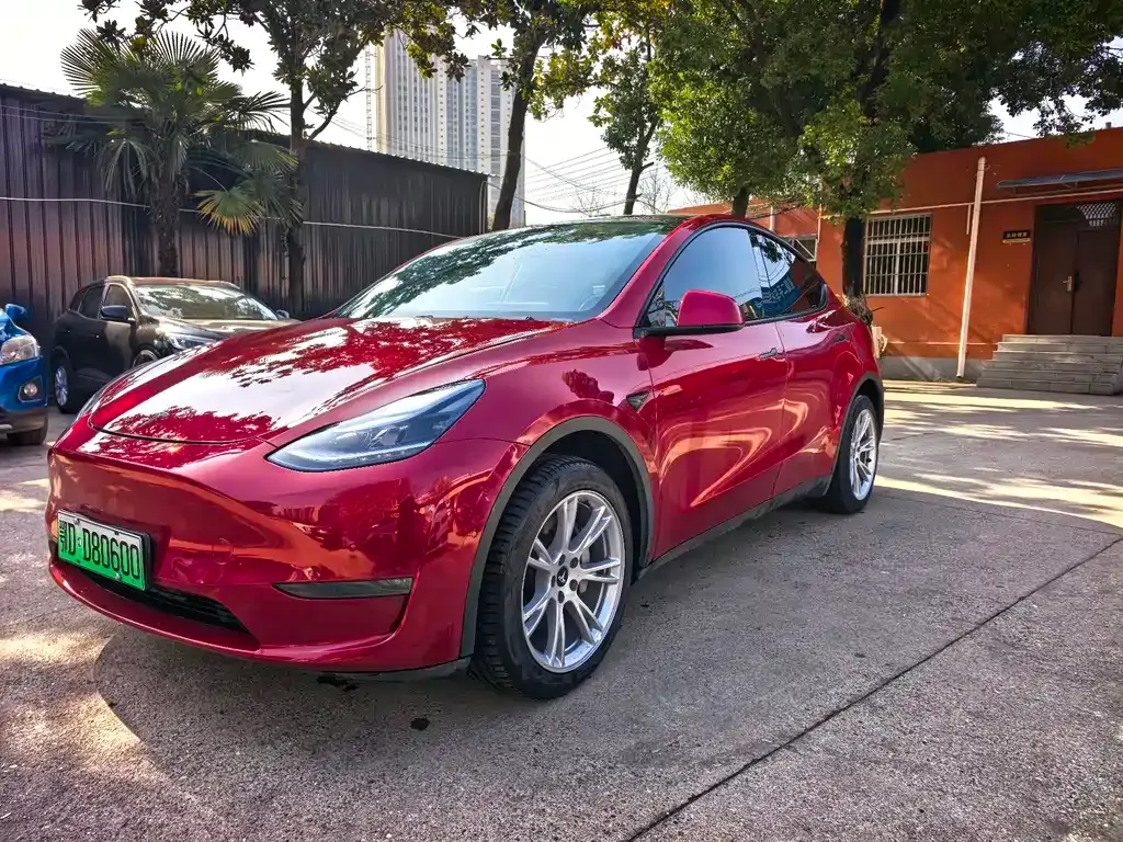 Tesla Model Y 2021 из CN, фото 1