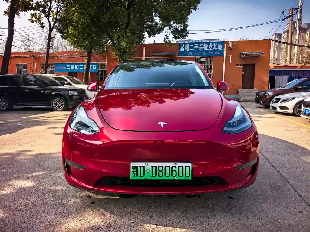 Tesla Model Y 2021 из CN, фото 7