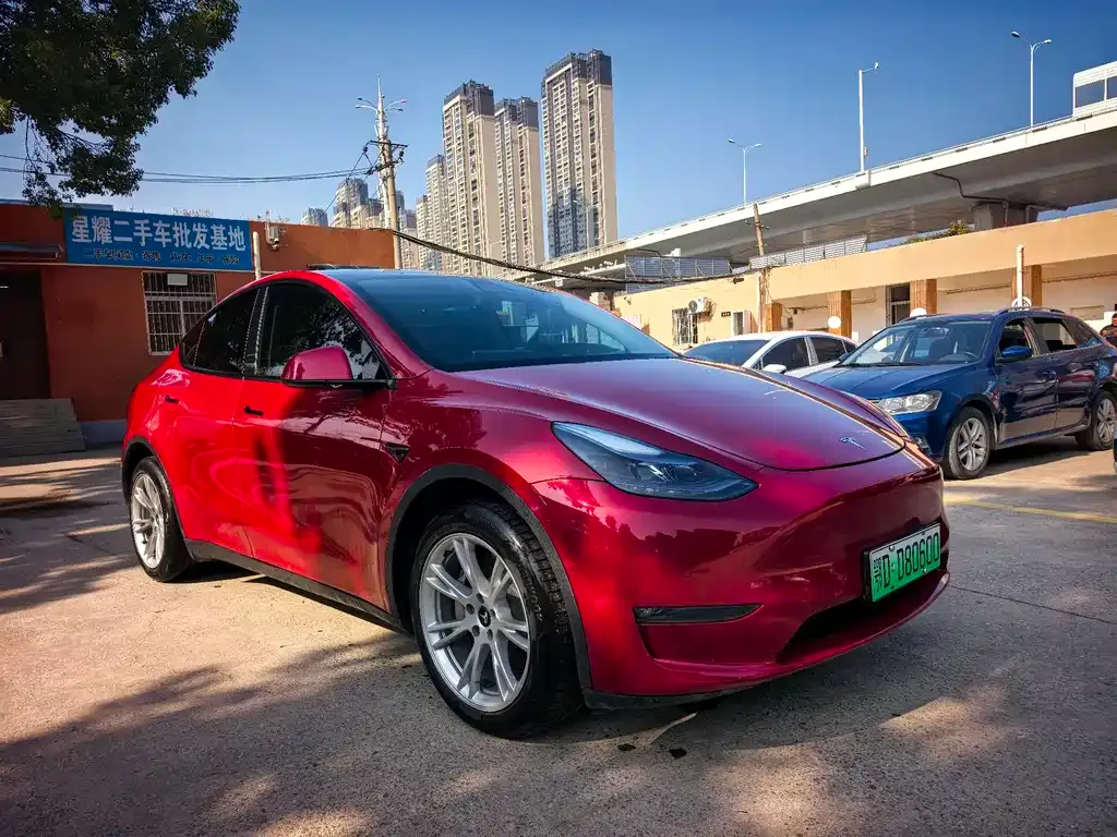 Tesla Model Y 2021 из CN, фото 4