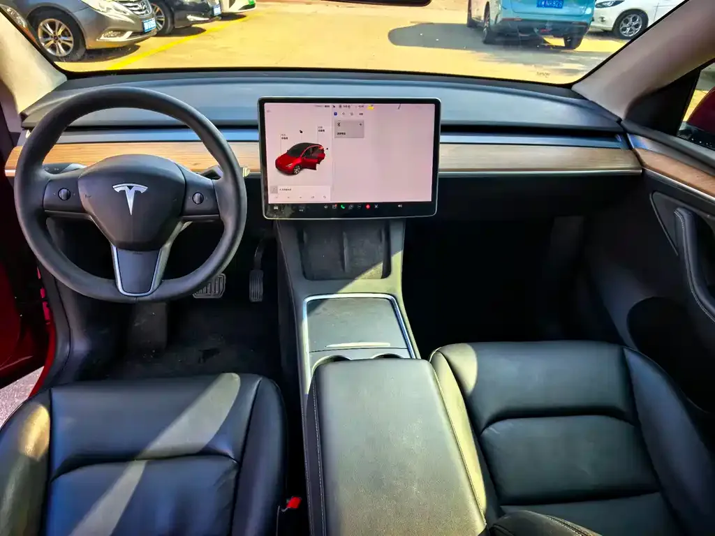 Tesla Model Y 2021 из CN, фото 6