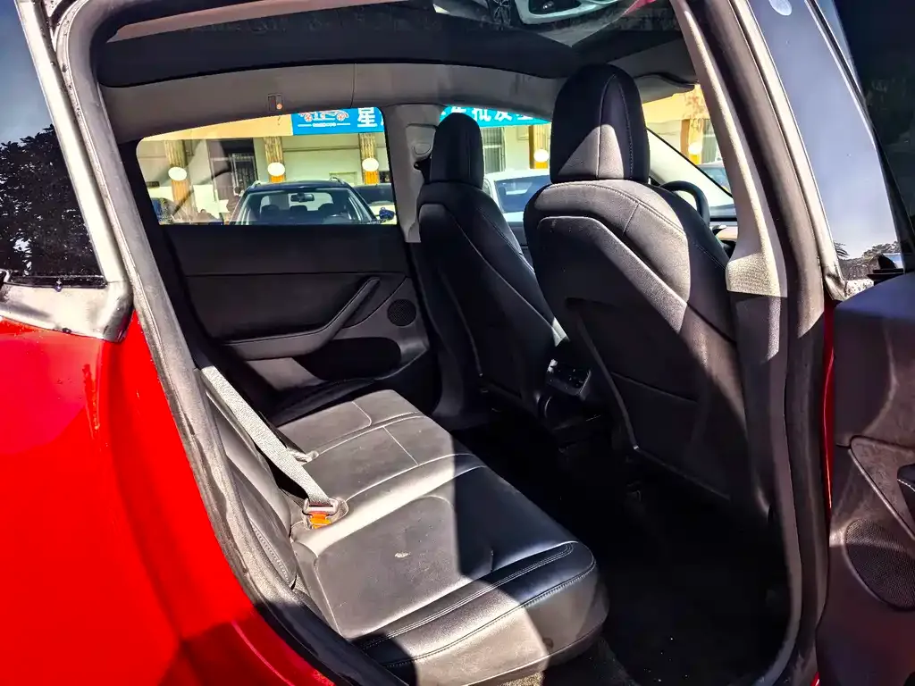 Tesla Model Y 2021 из CN, фото 9