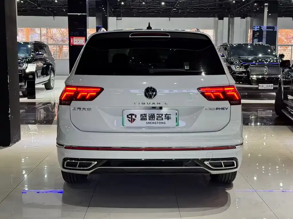 Volkswagen Tiguan L New Energy 2024 из CN, фото 6