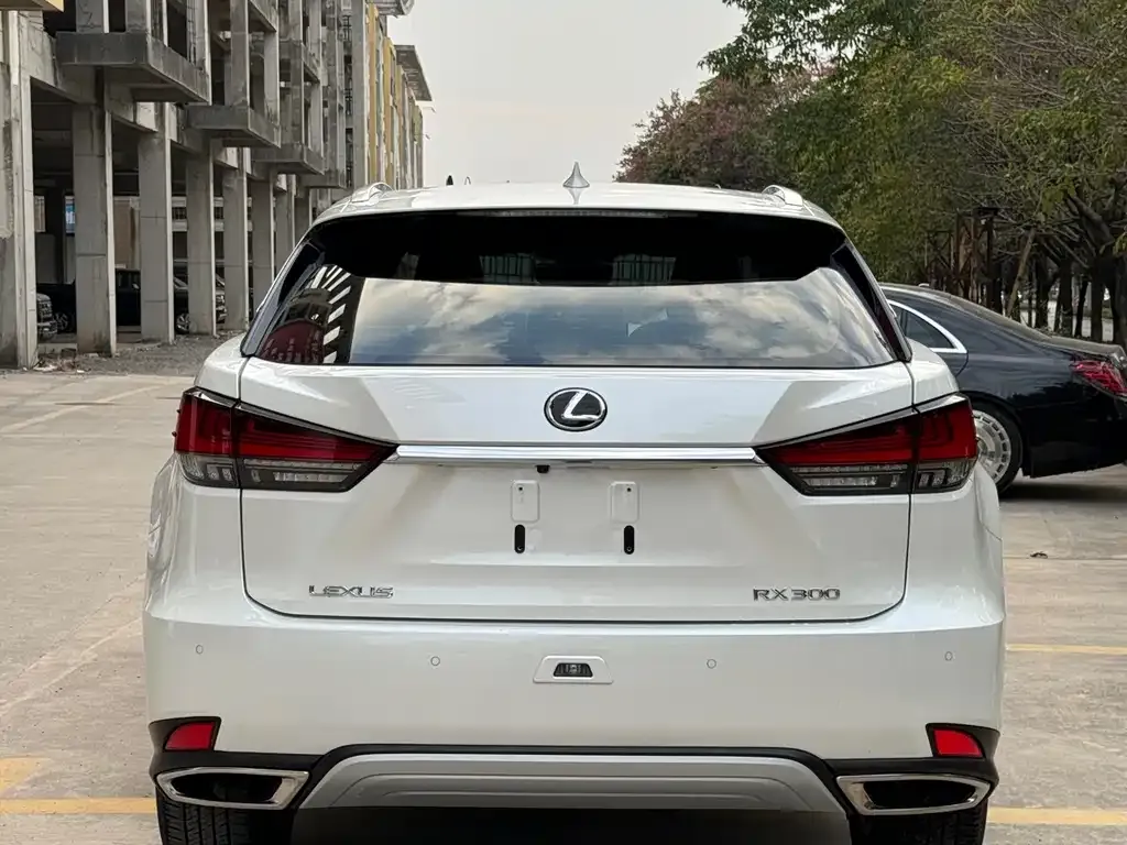 Lexus RX 2022 из CN, фото 2