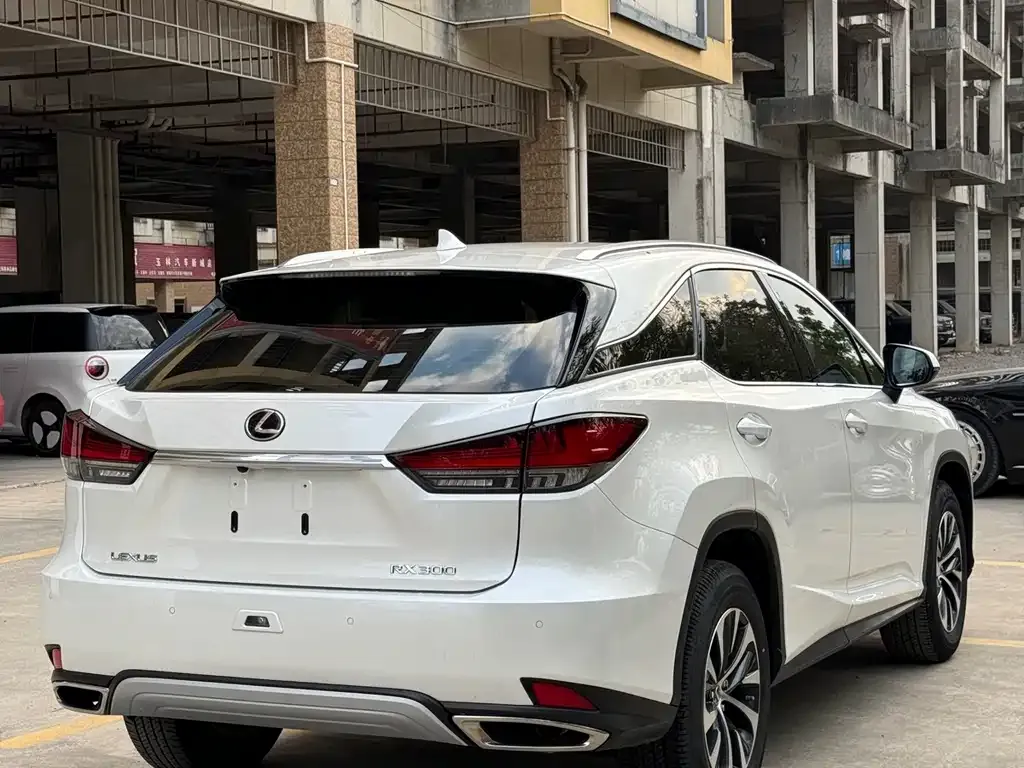 Lexus RX 2022 из CN, фото 4