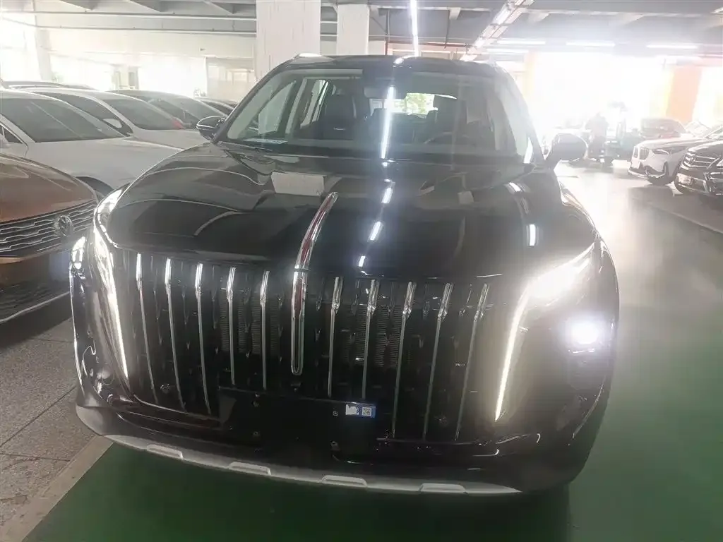 Hongqi HS7 PHEV 2024 из CN, фото 5