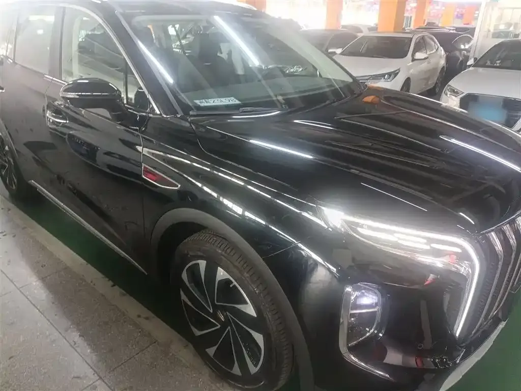 Hongqi HS7 PHEV 2024 из CN, фото 9