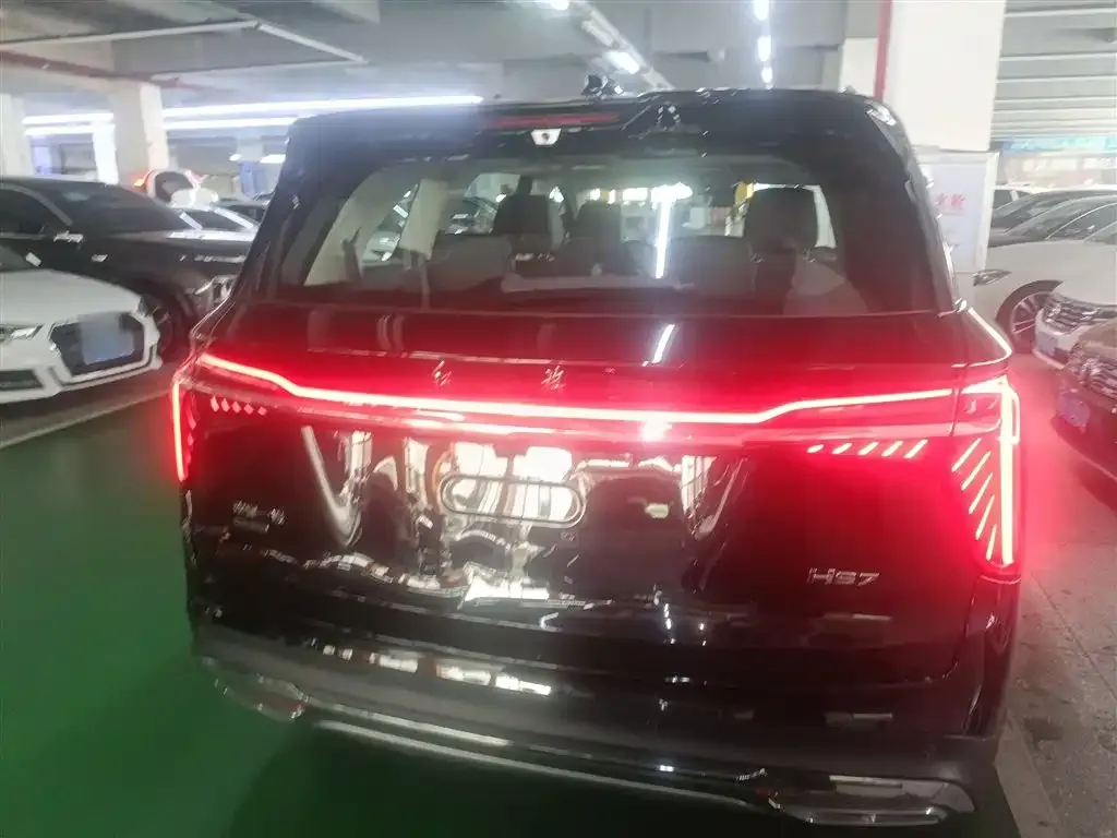 Hongqi HS7 PHEV 2024 из CN, фото 6