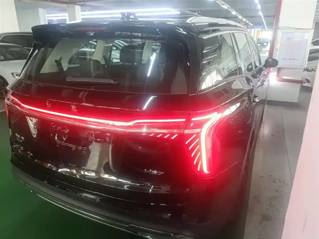 Hongqi HS7 PHEV 2024 из CN, фото 10
