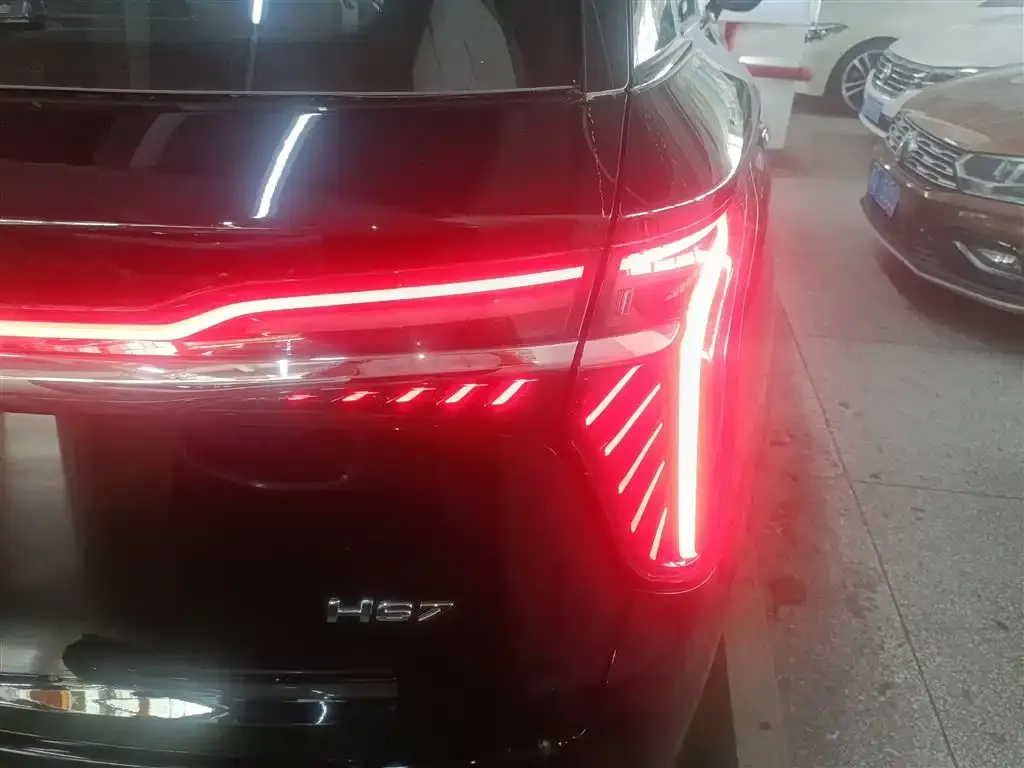 Hongqi HS7 PHEV 2024 из CN, фото 2