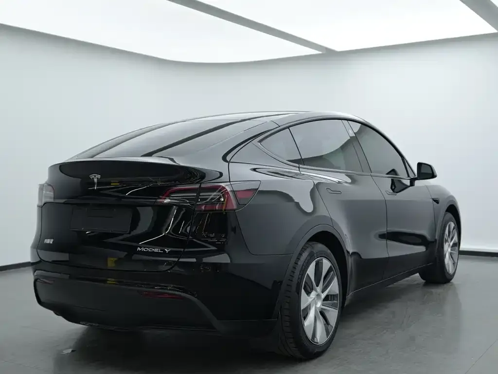 Tesla Model Y 2023 из CN, фото 4