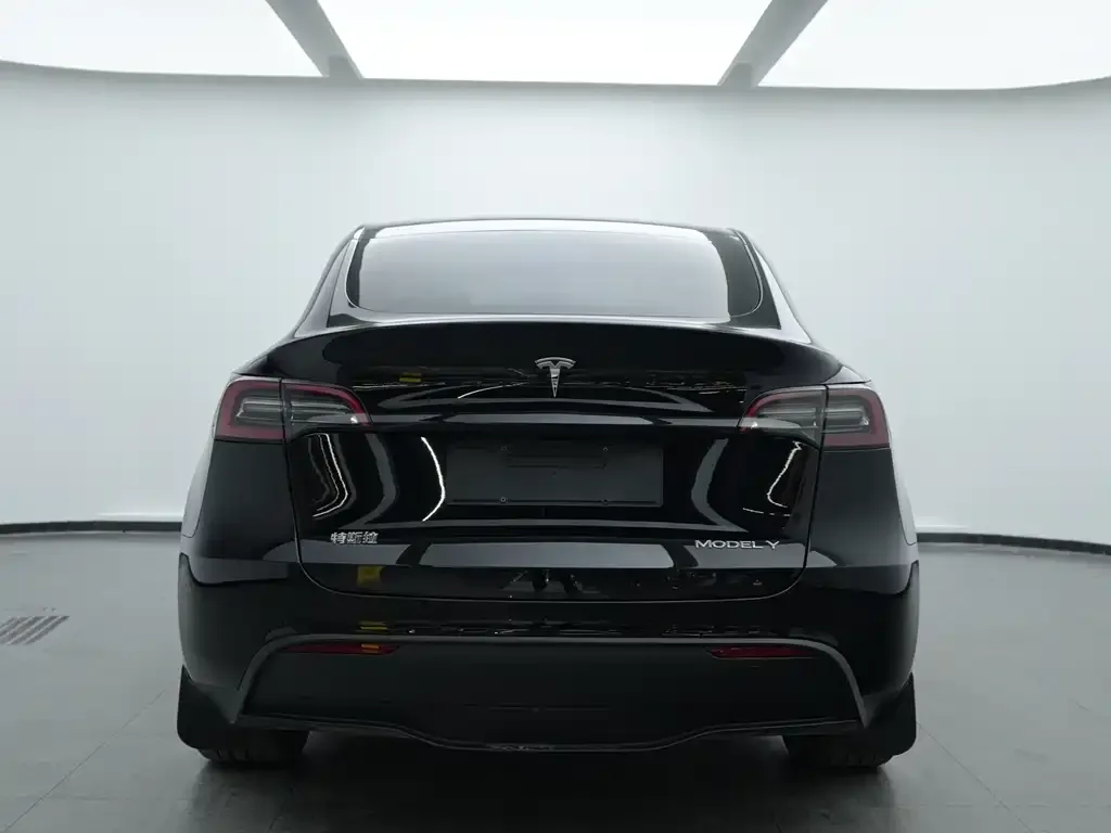 Tesla Model Y 2023 из CN, фото 10