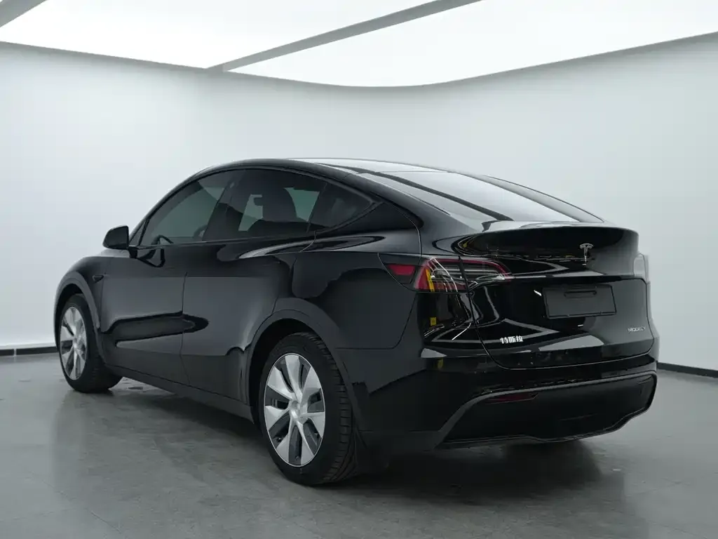 Tesla Model Y 2023 из CN, фото 8