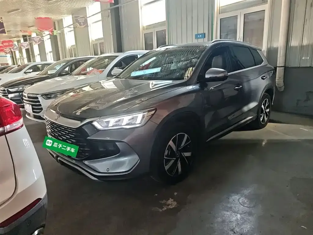 BYD Pro New Energy 2024 из CN, фото 2