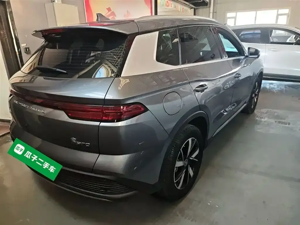 BYD Pro New Energy 2024 из CN, фото 7