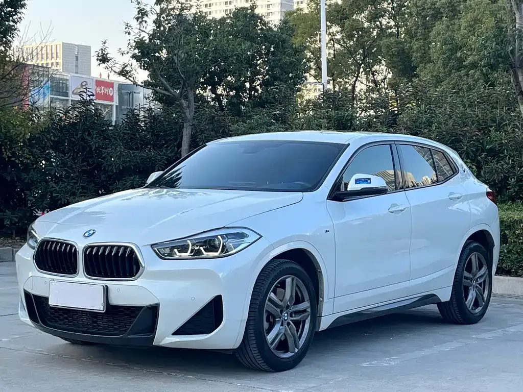 BMW X2 2021 из CN, фото 1