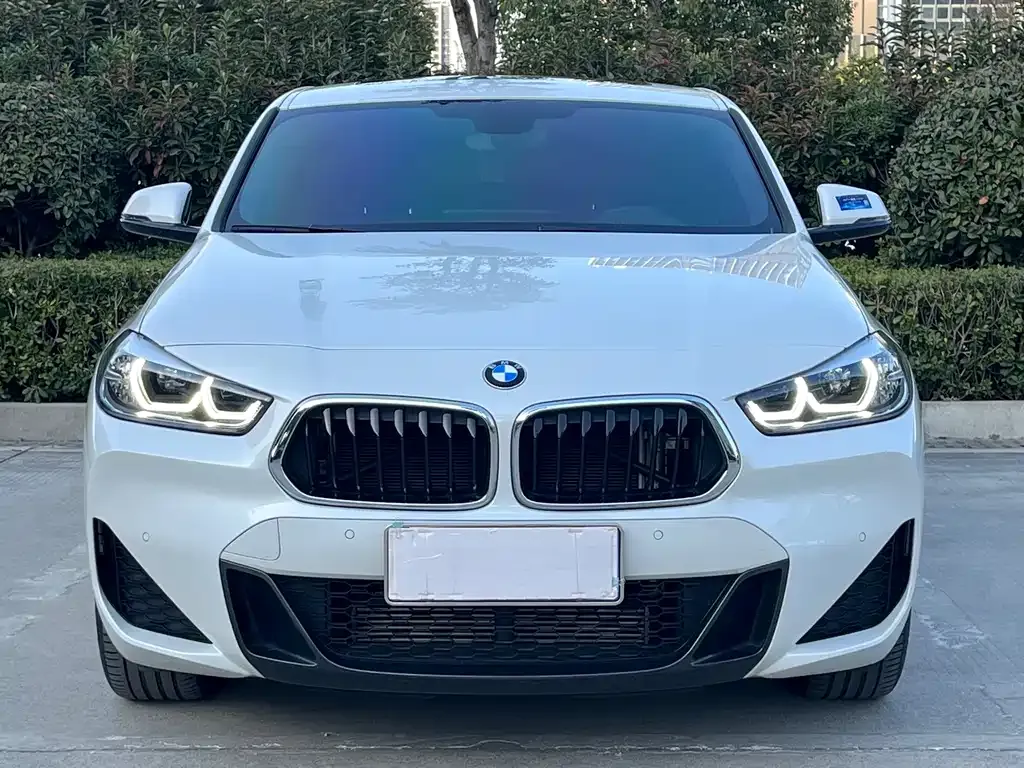 BMW X2 2021 из CN, фото 2