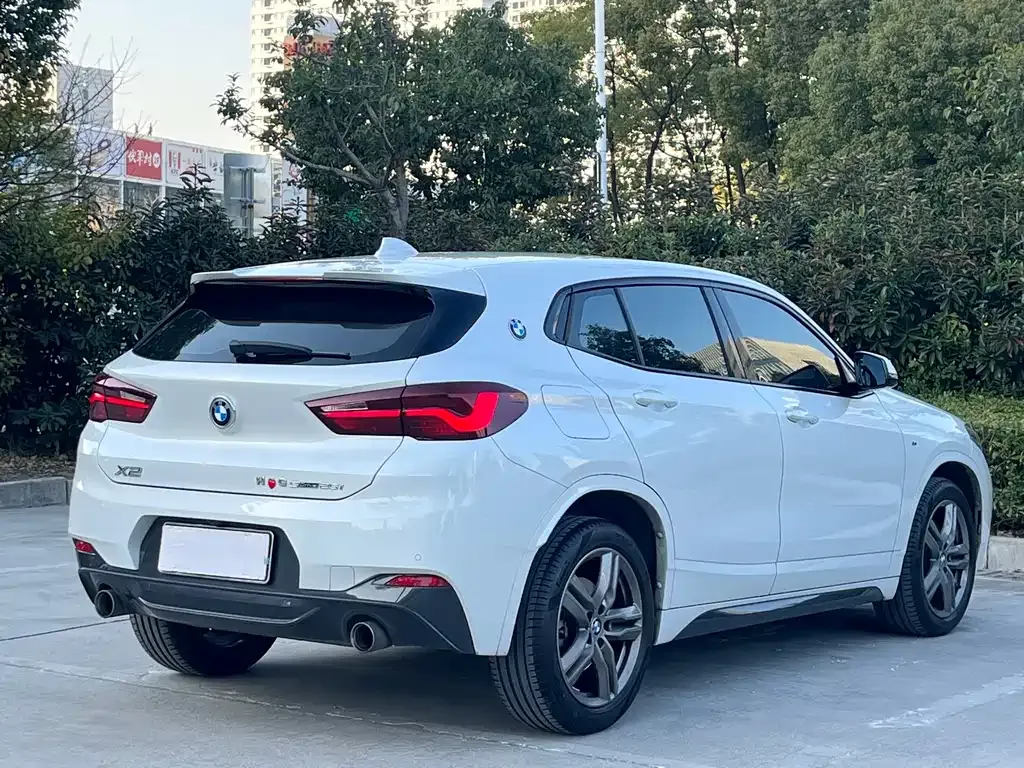 BMW X2 2021 из CN, фото 5