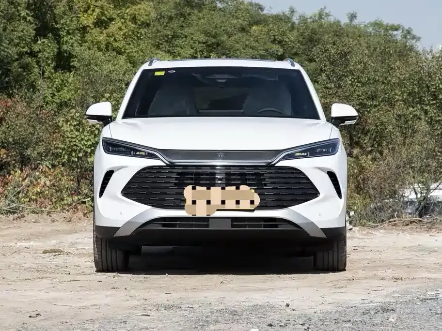 BYD L DM-i 2025 из CN, фото 7