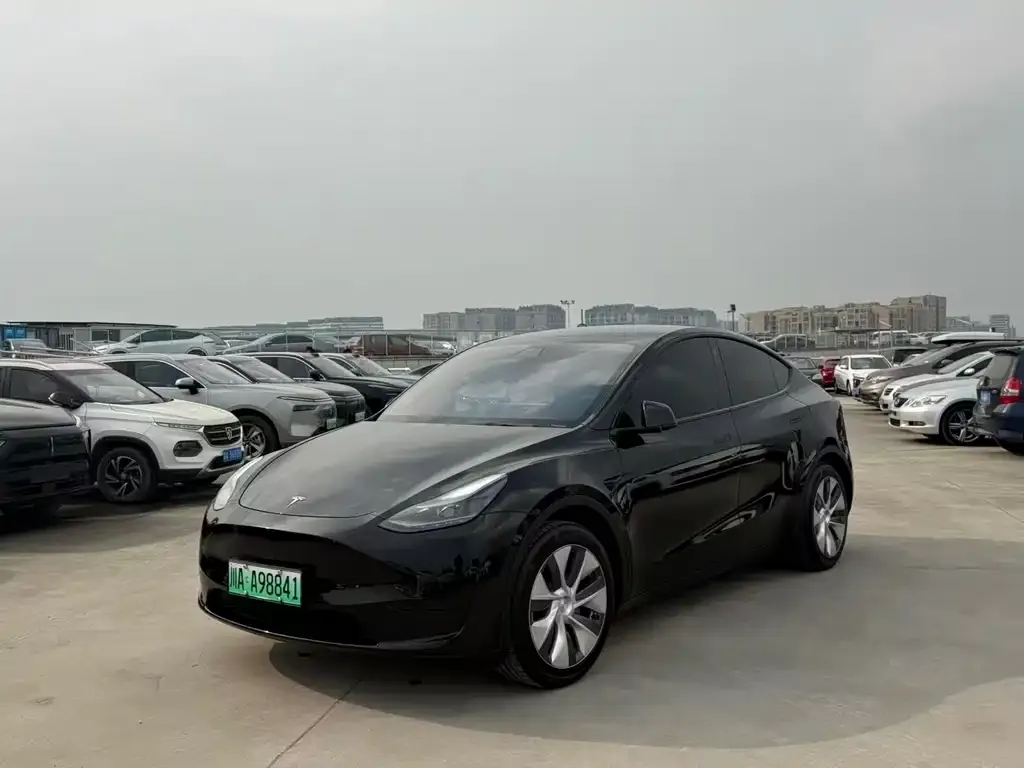 Tesla Model Y 2023 из CN, фото 1