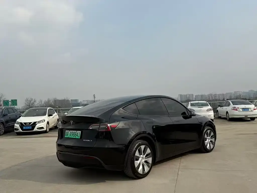 Tesla Model Y 2023 из CN, фото 6