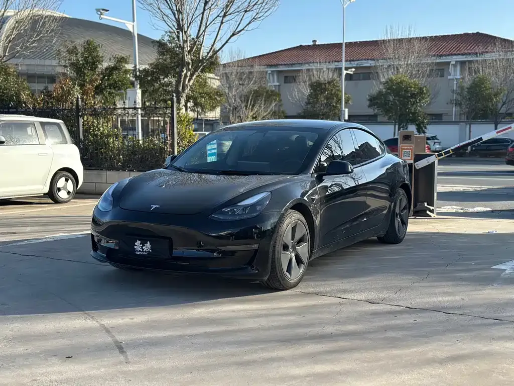 Tesla Model 3 2021 из CN, фото 1