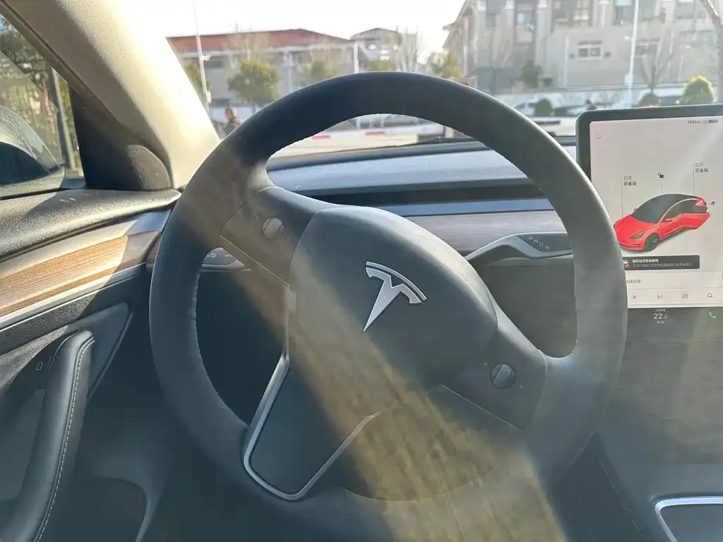 Tesla Model 3 2021 из CN, фото 10