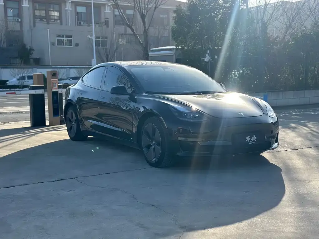 Tesla Model 3 2021 из CN, фото 2