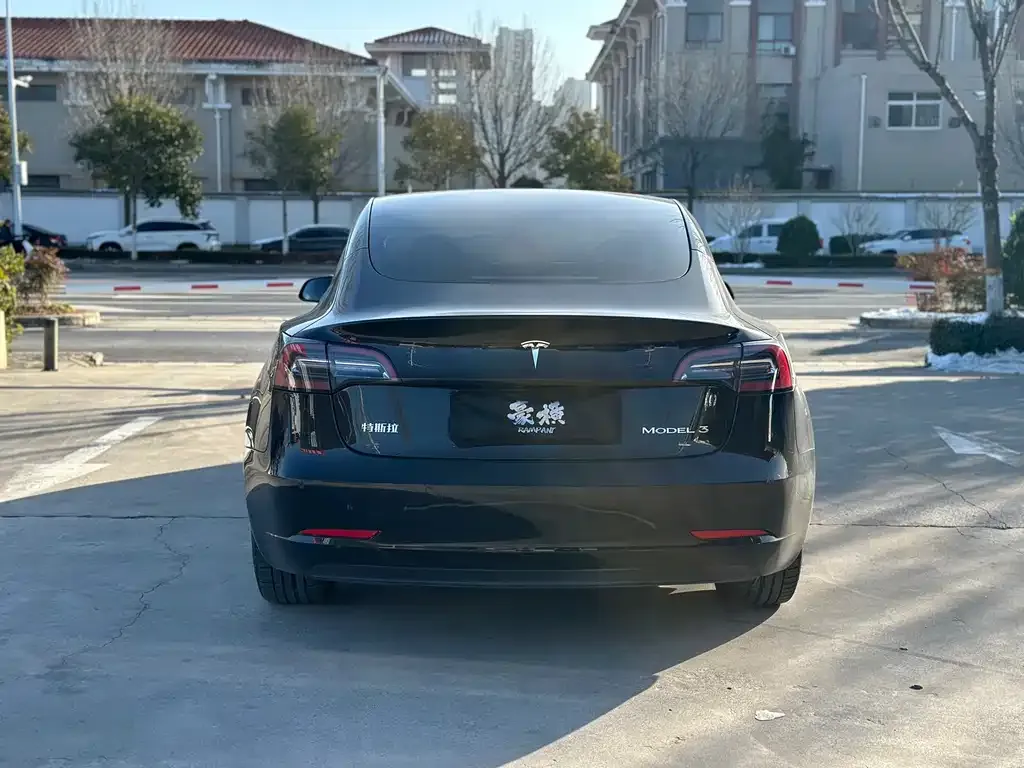 Tesla Model 3 2021 из CN, фото 4