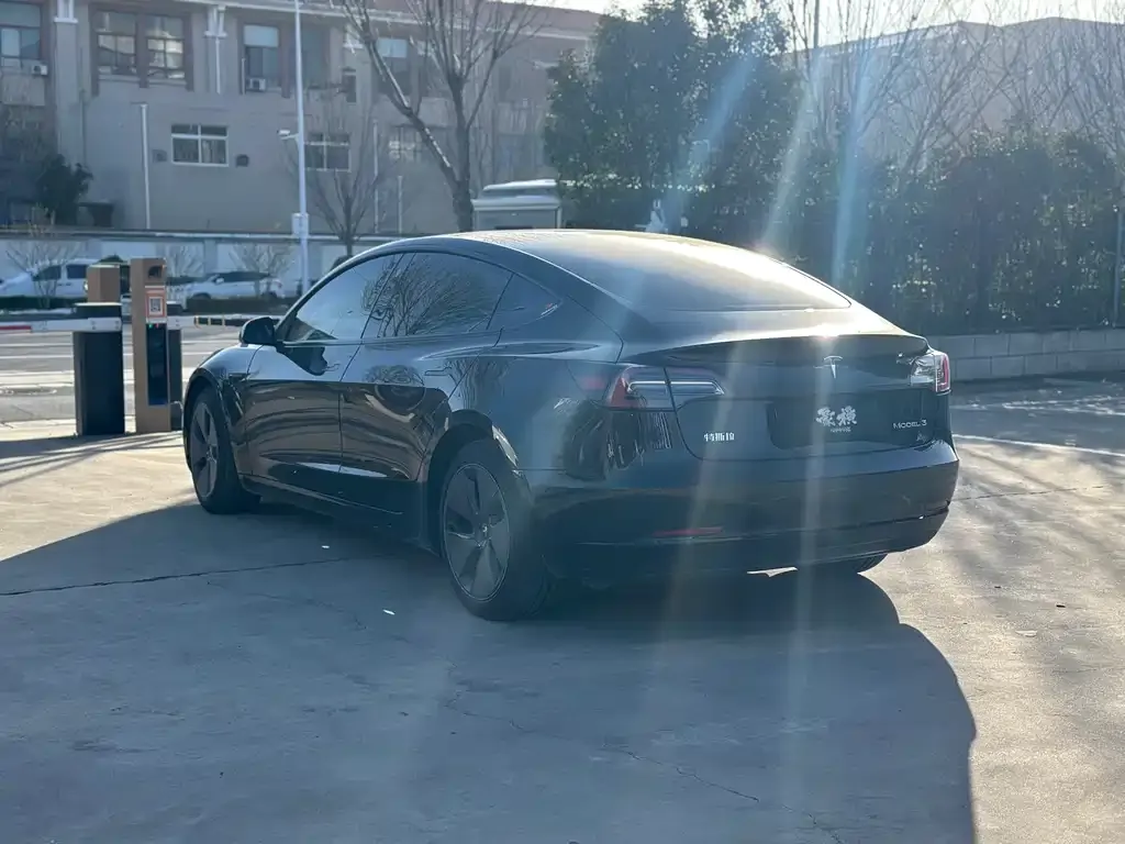 Tesla Model 3 2021 из CN, фото 5