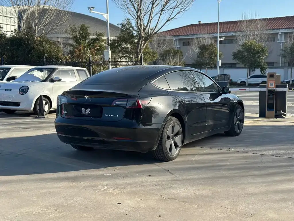 Tesla Model 3 2021 из CN, фото 6