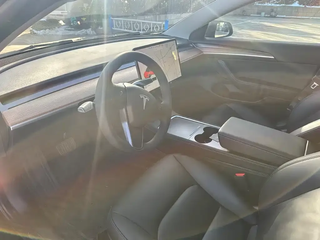 Tesla Model 3 2021 из CN, фото 7