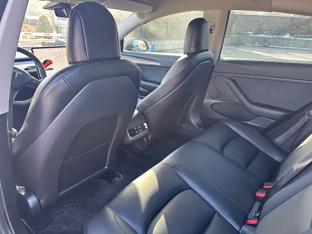 Tesla Model 3 2021 из CN, фото 8