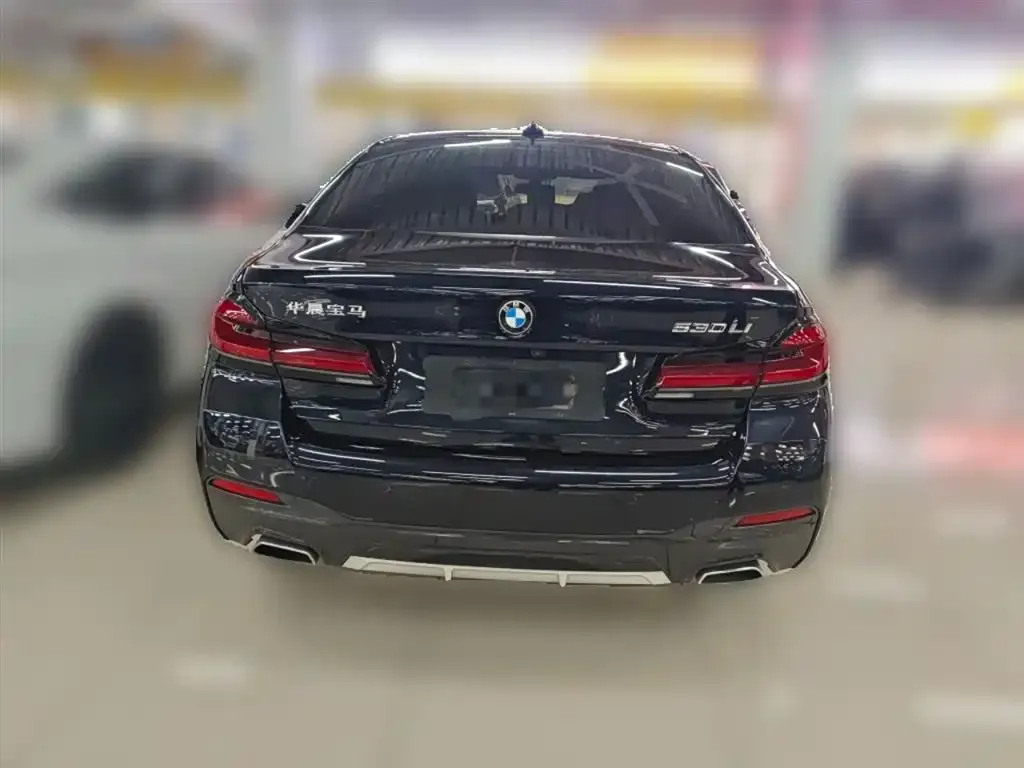 BMW 5 Series 2022 из CN, фото 4