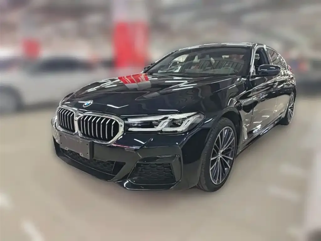 BMW 5 Series 2022 из CN, фото 3