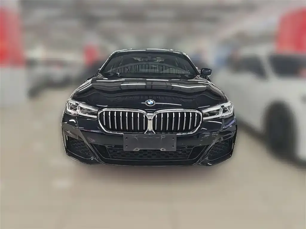 BMW 5 Series 2022 из CN, фото 8