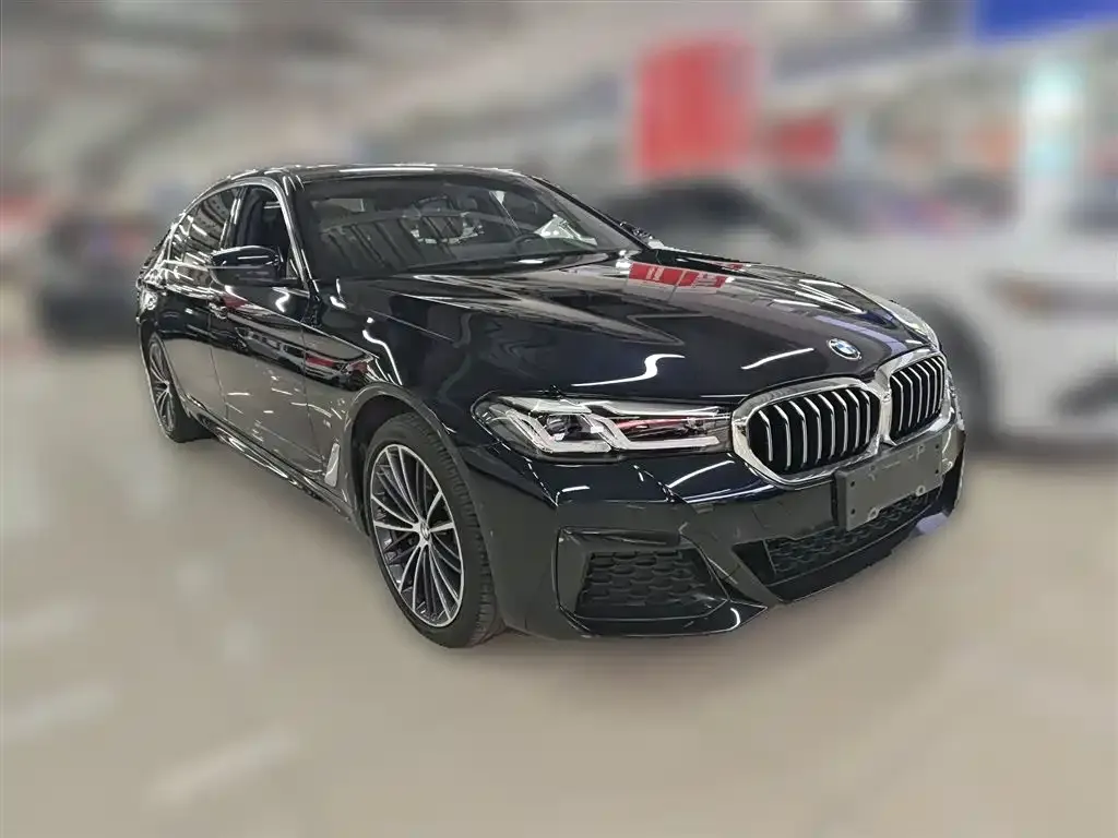 BMW 5 Series 2022 из CN, фото 9