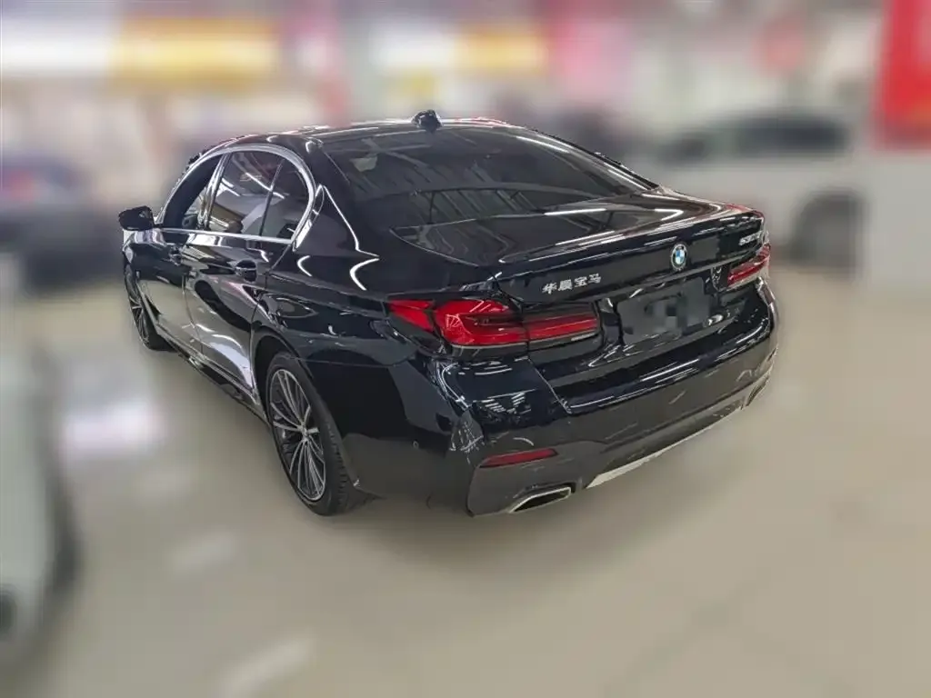 BMW 5 Series 2022 из CN, фото 5