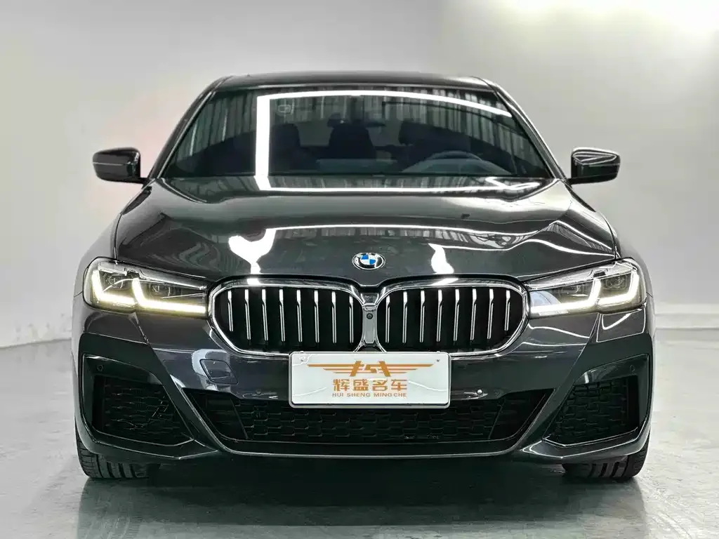 BMW 5 Series (Import) 2023 из CN, фото 1
