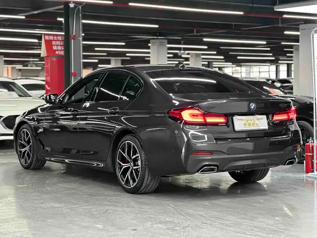 BMW 5 Series (Import) 2023 из CN, фото 9
