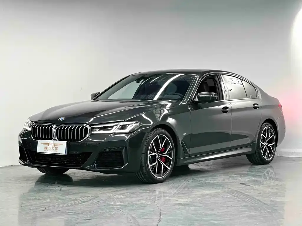 BMW 5 Series (Import) 2023 из CN, фото 5