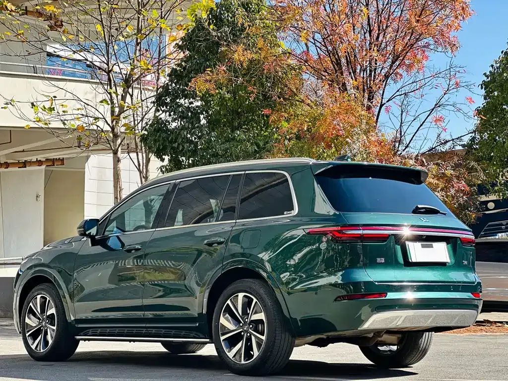 Li Auto ONE 2021 из CN, фото 5