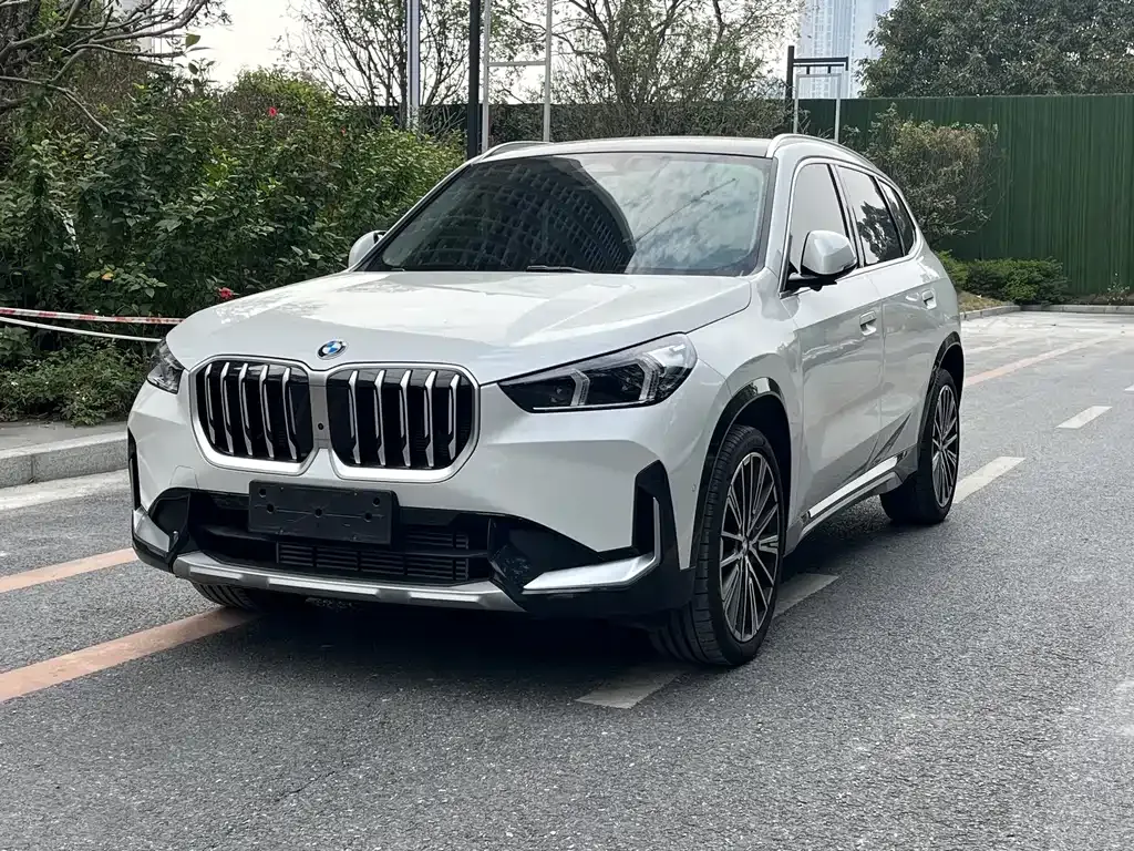 BMW X1 — фото 1