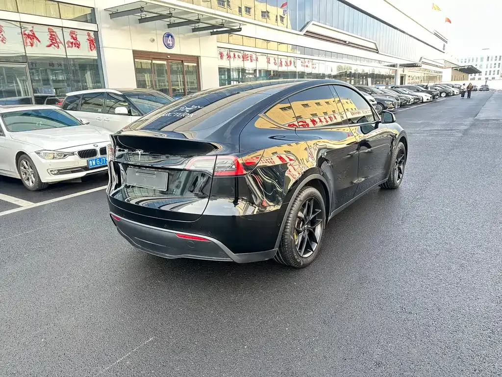 Tesla Model Y 2023 из CN, фото 6