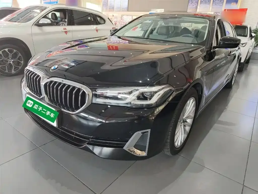 BMW 5 Series New Energy 2021 из CN, фото 2