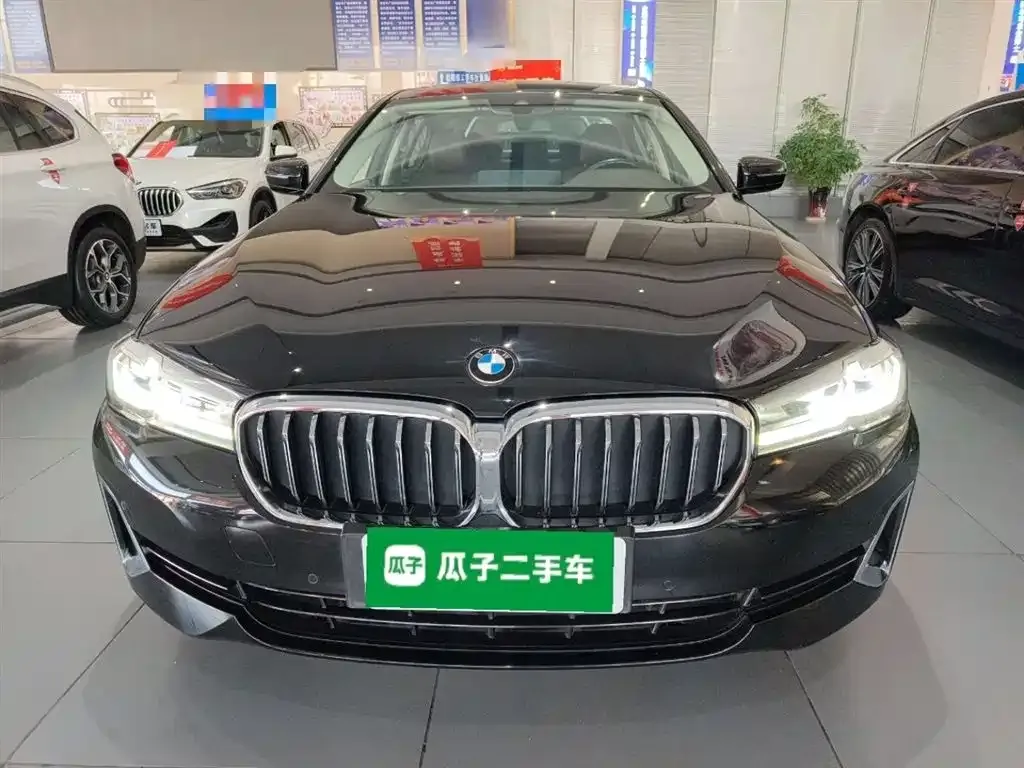 BMW 5 Series New Energy 2021 из CN, фото 6
