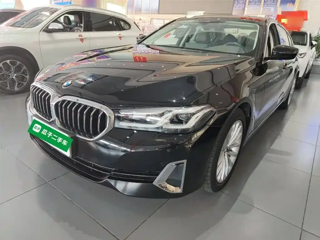 BMW 5 Series New Energy 2021 из CN, фото 3
