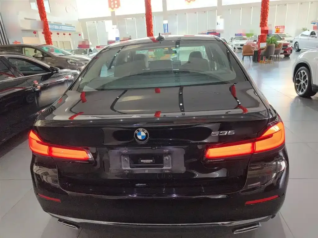 BMW 5 Series New Energy 2021 из CN, фото 7