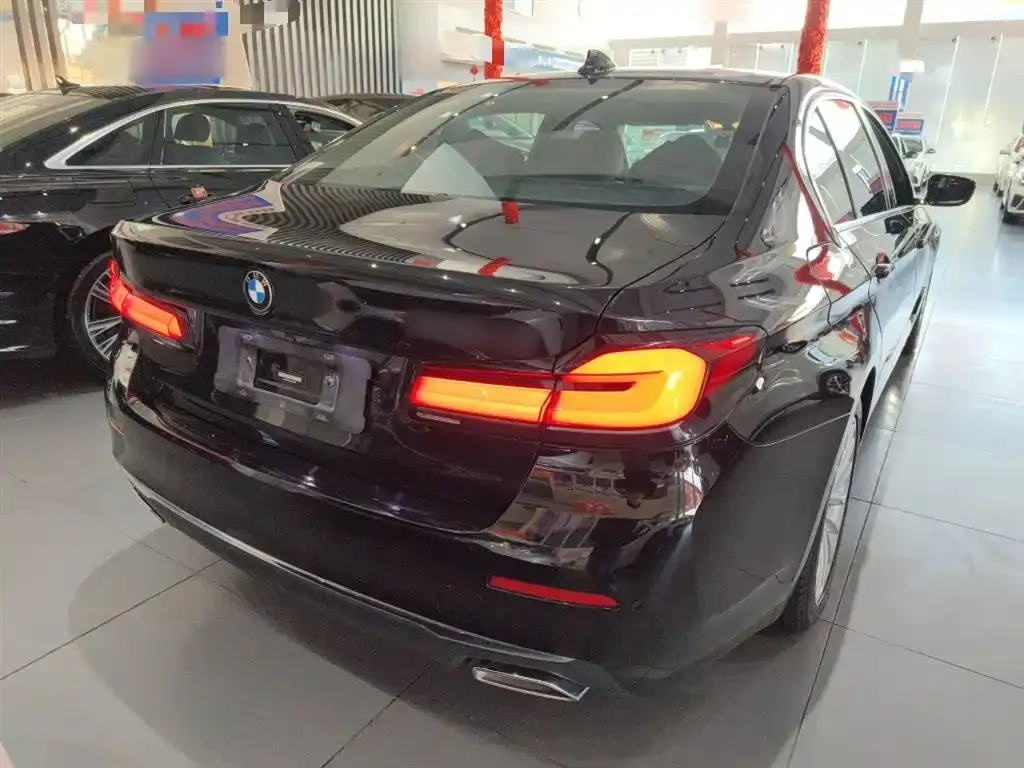 BMW 5 Series New Energy 2021 из CN, фото 4