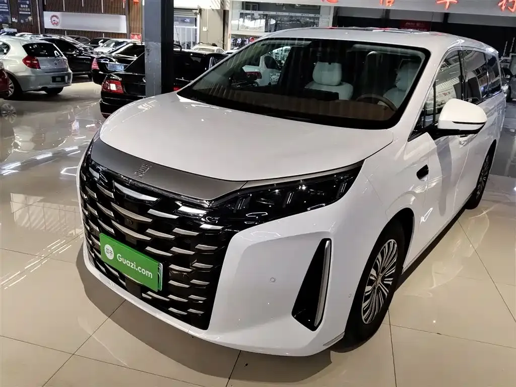 BYD Xia 2025 из CN, фото 1